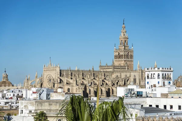 Giralda v Seville, Andalusie, Španělsko. — Stock fotografie