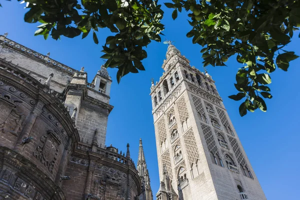 De Giralda in Sevilla, Andalusie, Spanje. — Stockfoto