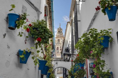 Calleja de las Flores Cordoba, Endülüs, İspanya.
