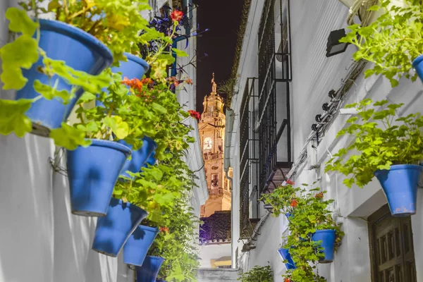 Calleja de las flores in cordoba, andalusien, spanien. — Stockfoto