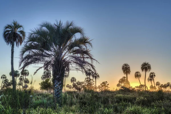 Схід сонця на el palmar Національний парк, Аргентина — стокове фото