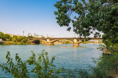 Sevilla Kanosu, Endülüs, İspanya.