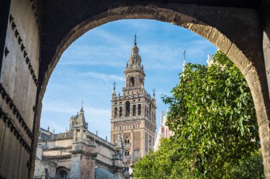 Sevilla, İspanya'daki Patio de Banderas.