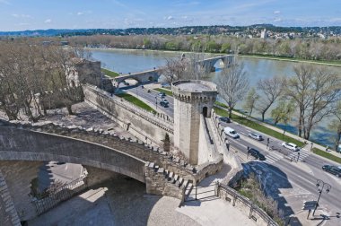 Chiens Kulesi, Avignon, Fransa