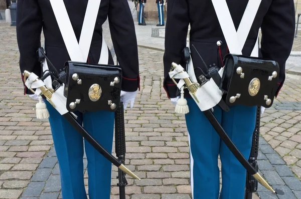 Королівська Данія гвардія змін — стокове фото