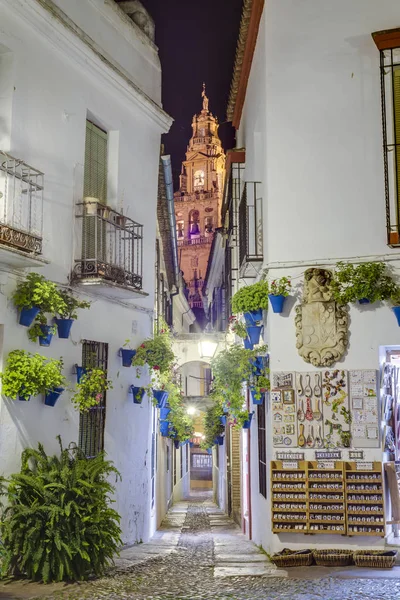 Calleja de las flores in cordoba, andalusien, spanien. — Stockfoto