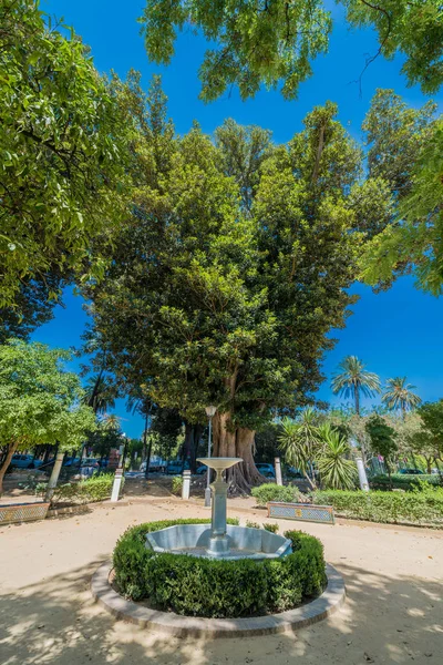 Gardens of Catalina de Rivera in Seville, Spain — Stock Photo, Image