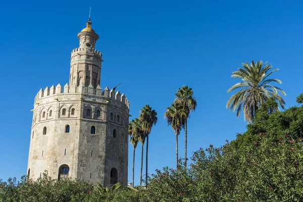 Torre de Oro en Sevilla, sur de España . —  Fotos de Stock