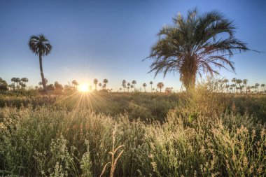 el palmar Milli Parkı, Arjantin Sunrise