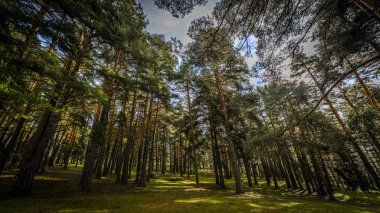 Sierra de Gredos, il Avila, Kastilya Leon.