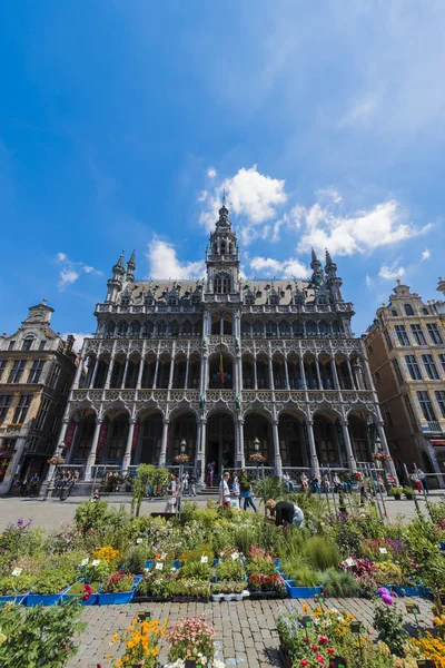 Maison du roi w Brukseli, Belgia — Zdjęcie stockowe