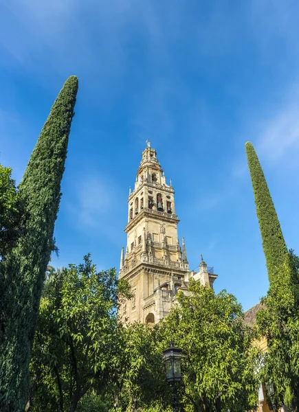 Moskén-katedralen i Cordoba i Andalusien, Spanien — Stockfoto