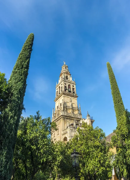 Moschea Cattedrale di Cordova in Andalusia, Spagna — Foto Stock