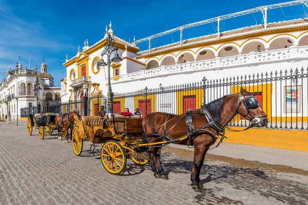 アンダルシアのセビリアの馬車, スペイン — ストック写真
