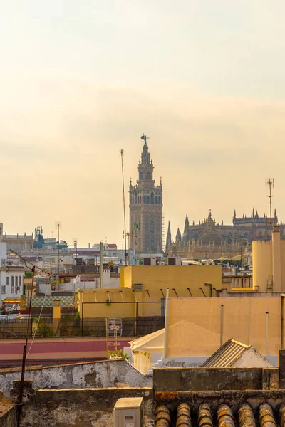 Giralda in the city of Seville in Andalusia, Spain. — Stock Photo, Image