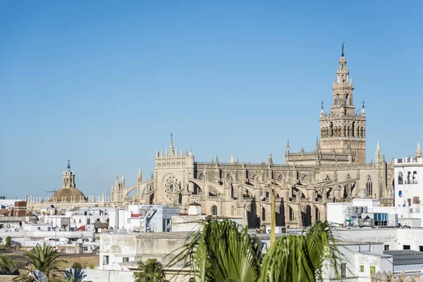 The Giralda in Seville, Andalusia, Spain. — Stock Photo, Image