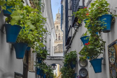 Calleja de las Flores Cordoba, Endülüs, İspanya.