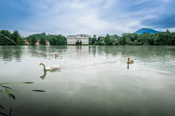 Palacio de Schloss Leopoldskron en Salzburgo, Austria . — Foto de Stock