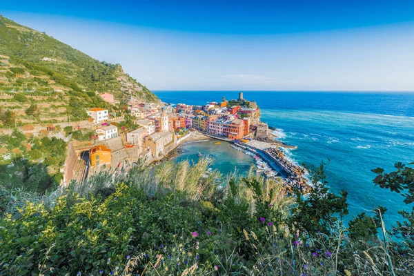 Βερνάτσα στο Cinque Terre, Liguria, Ιταλία. — Φωτογραφία Αρχείου