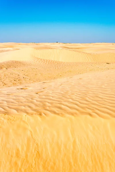 Atividades no deserto na Tunísia — Fotografia de Stock