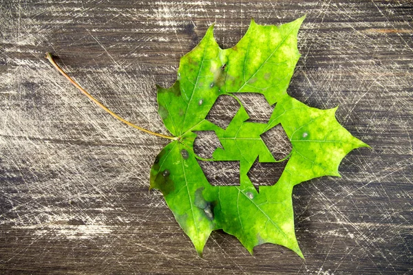 Groene Esdoorn Blad Met Recycle Symbool Liggend Houten Achtergrond — Stockfoto