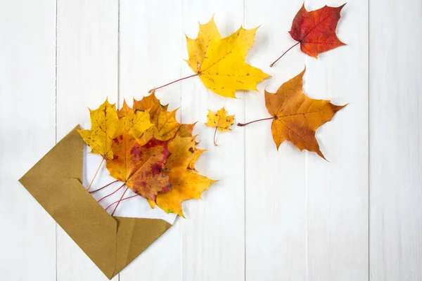 開いている封筒から出てくる秋の葉 — ストック写真