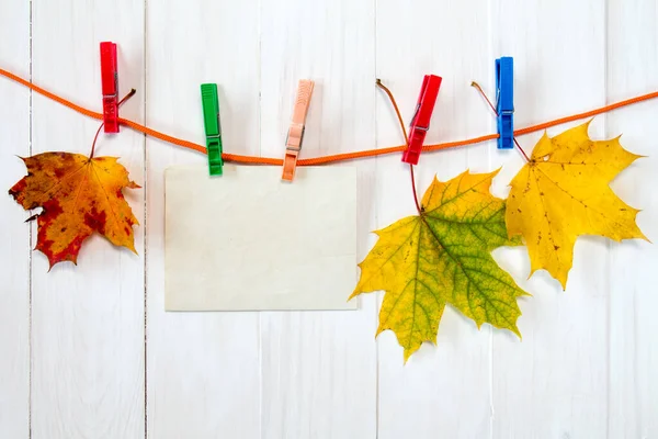 Herfst Esdoorn Bladeren Blanco Kaart Opknoping Touw Met Wasknijpers — Stockfoto