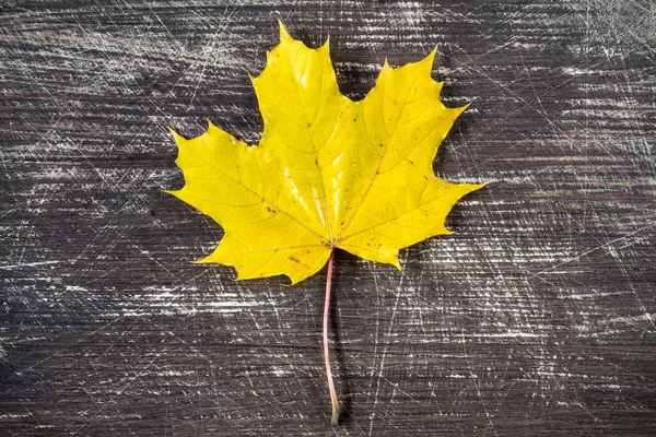 Yellow Autumn Leaf Dark Wooden Background — Stock Photo, Image