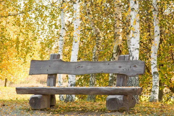 秋の白樺の木の上の木製のベンチ背景 — ストック写真