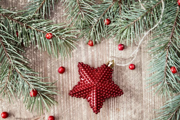 Κλάδος Fir Χριστουγεννιάτικο Αστέρι Και Κόκκινα Μούρα — Φωτογραφία Αρχείου