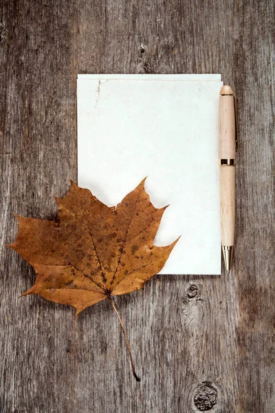 Rustiek Esdoorn Blad Blanco Papier Met Een Pen — Stockfoto