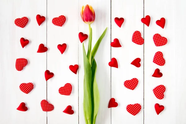 Sfondo San Valentino Con Tulipano Molti Cuori Decorativi — Foto Stock