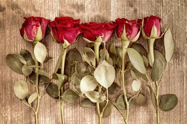 Fundo Floral Com Rosas Para Dia Dos Namorados Dia Das — Fotografia de Stock