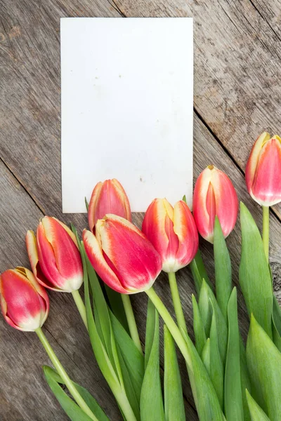 Zeven Lente Tulpen Blanco Kaart Voor Kopieerruimte — Stockfoto
