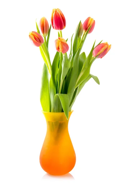 Bouquet Blossoming Tulips Vase Isolated White Background — Stock Photo, Image