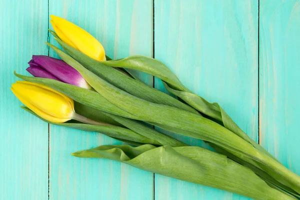 Three Tulips Lying Blue Wooden Background — Stock Photo, Image