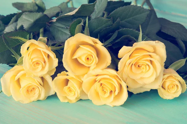 Gyönyörű Sárga Rózsák Pasztell Színű Szűrőkkel Elvont — Stock Fotó