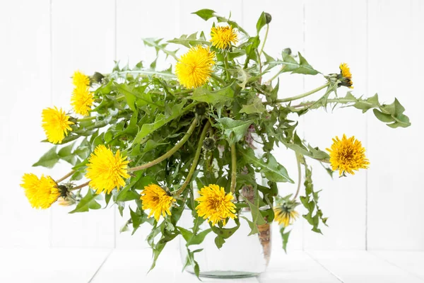 Gyermekláncfű Virág Levelekkel Gyökérrel Vízzel Teli Üvegbe Helyezve — Stock Fotó