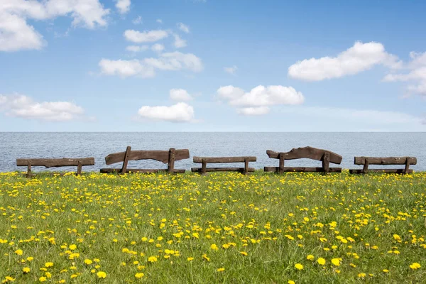 Five Wooden Benches Sea Shore Ideal Place Resting — Stock Photo, Image