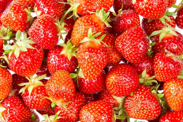 新收获草莓的背景 就在正上方 — 图库照片