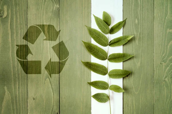 Groene Plant Recycle Symbool Houten Achtergrond — Stockfoto