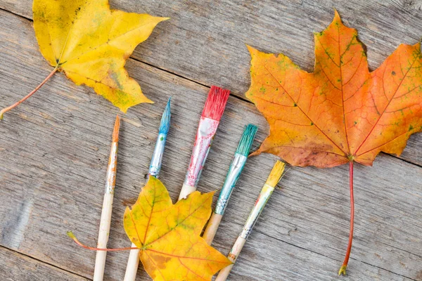 筆と葉で抽象的な秋の色 — ストック写真