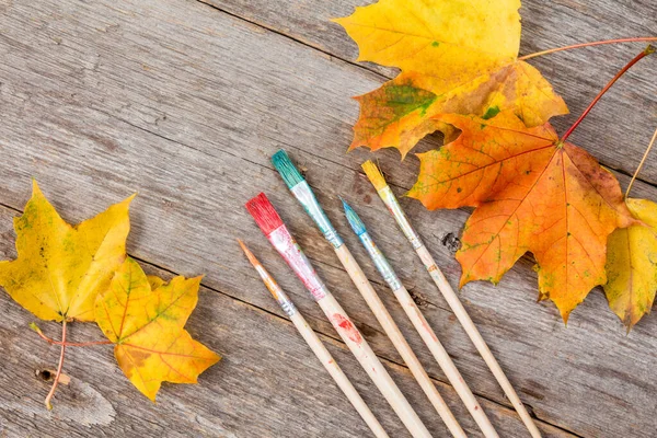 Colors Autumn Abstract Paint Brush Autumnal Leaves — Stock Photo, Image