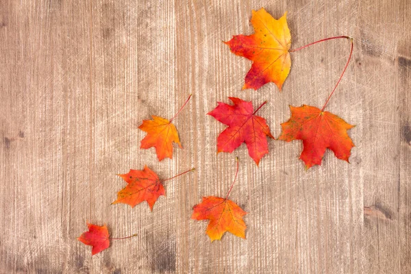 Kleurrijke Herfst Esdoorn Bladeren Oude Houten Achtergrond Bovenaanzicht — Stockfoto