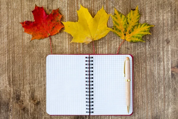 Blank Notebook Decorated Autumn Leaves Wooden Background Top View Flat — Stock Photo, Image