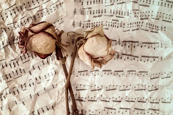 Getrocknete Rosen Auf Notenblättern Hintergrund — Stockfoto