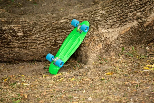 Заброшенный Зелёный Скейтборд Прислонился Дереву — стоковое фото
