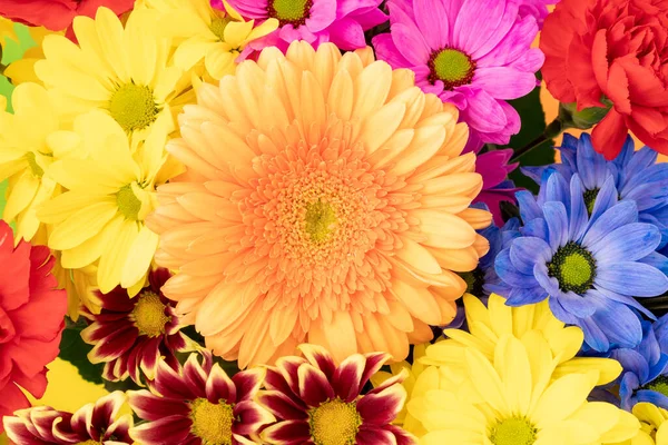 Close Buquê Flores Verão — Fotografia de Stock