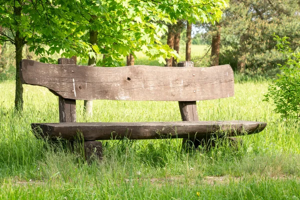 Empty Wood Bench Park Trees — Stock Photo, Image