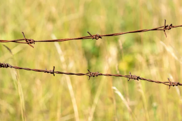 Alter Stacheldrahtzaun Dicht Machen — Stockfoto